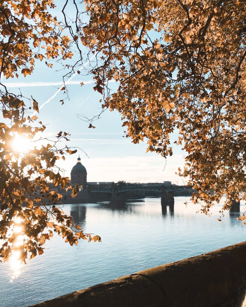Vacances scolaires Toulouse : activités et bons plans pour tous ✨