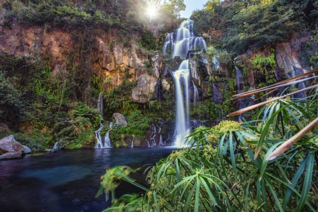 La Réunion côté adrénaline : 3 activités à tester absolument