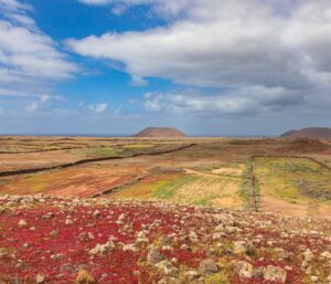 Îles Canaries : mon retour d’expérience complet et conseils