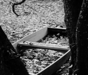 Marais poitevin : les 7 infos essentielles