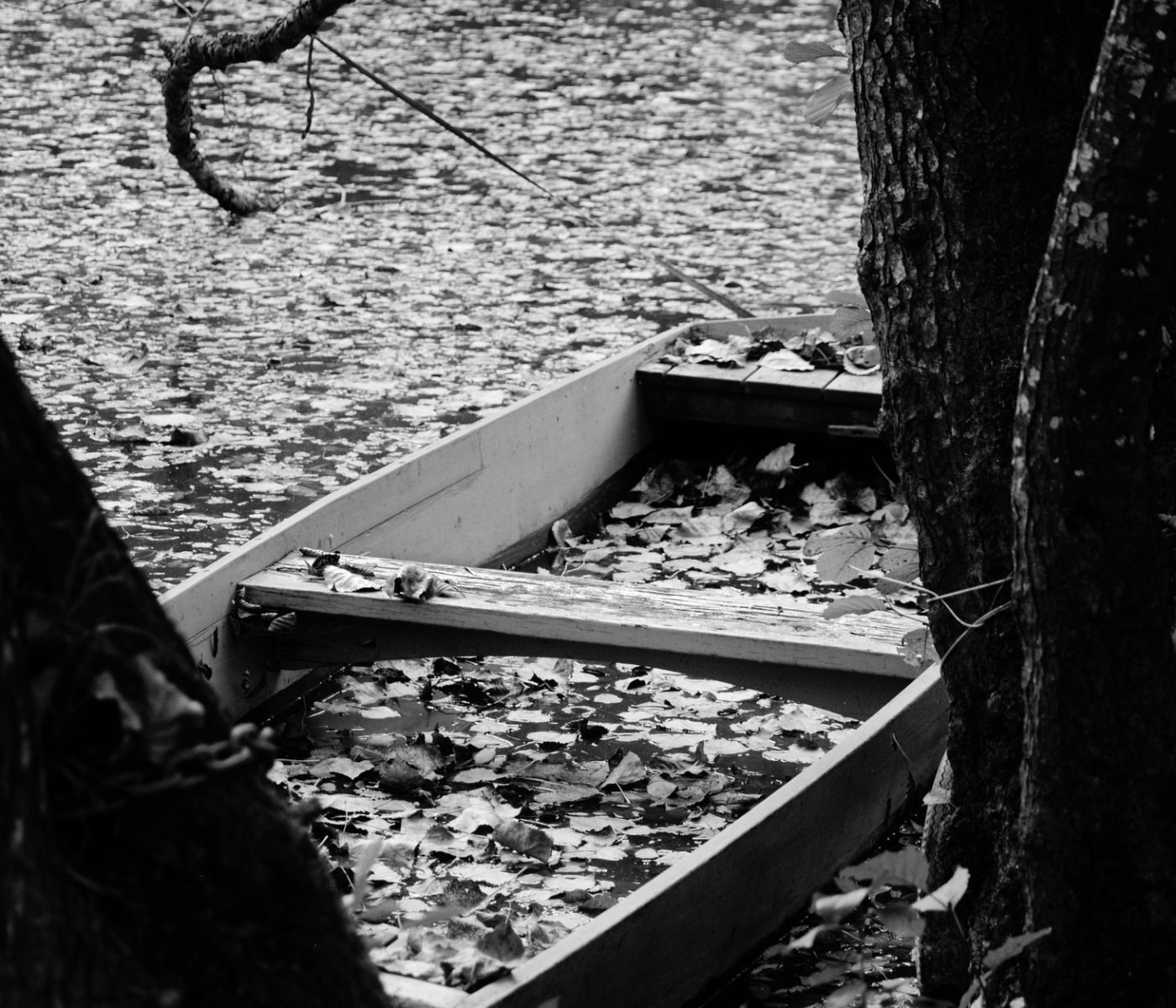 Marais poitevin : les 7 infos essentielles 1 Marais poitevin : les 7 infos essentielles